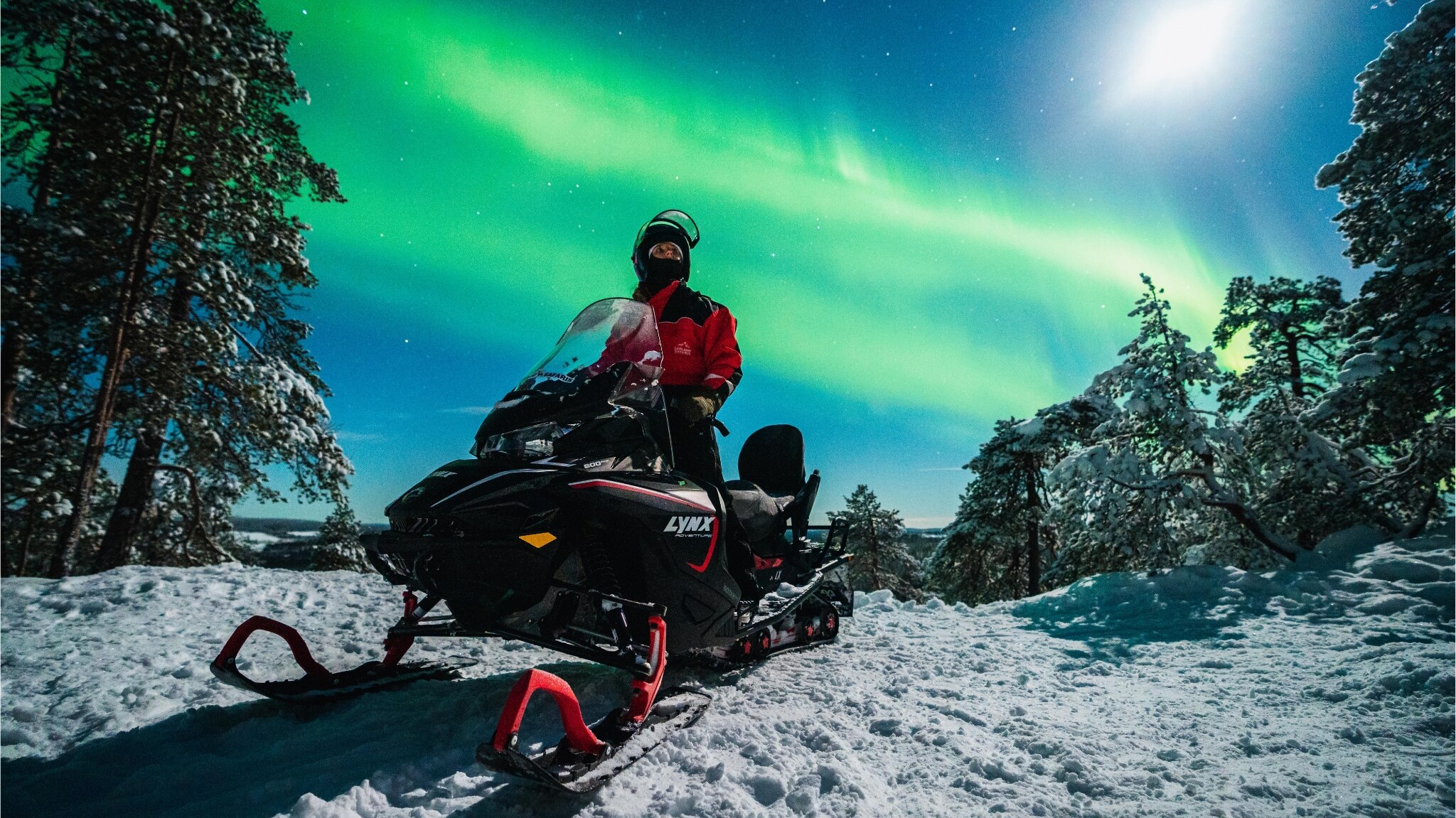 northern lights lynx