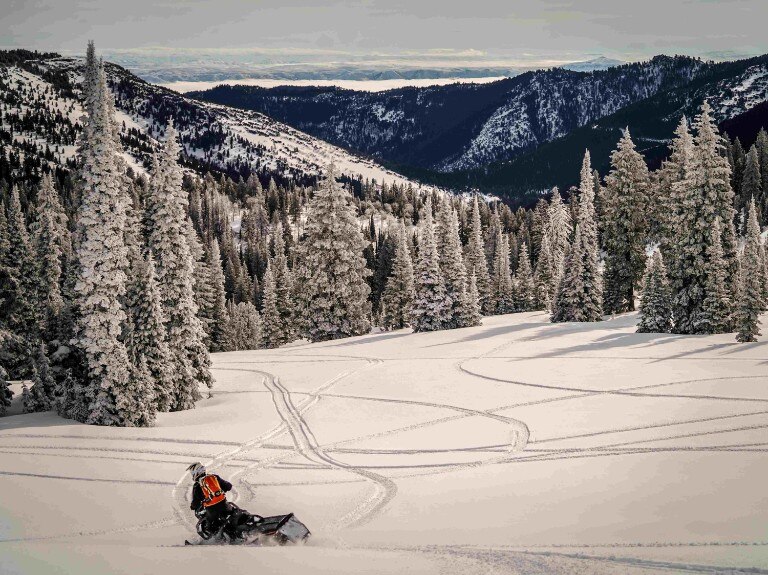 Paysage et Ski-Doo avec des montagnes et des arbres