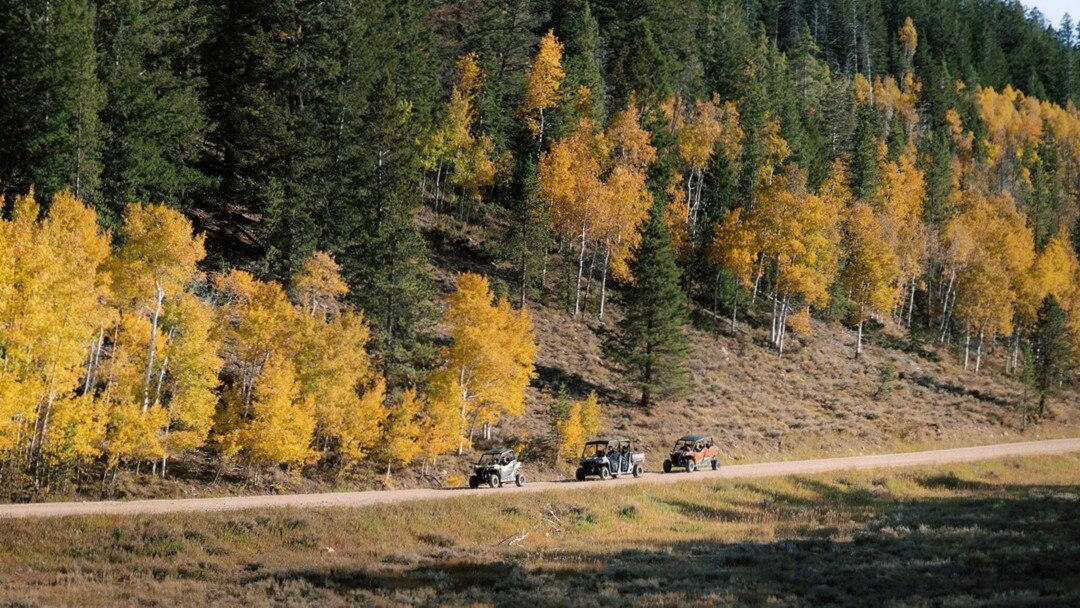Véhicules Can-Am sur un sentier forestier