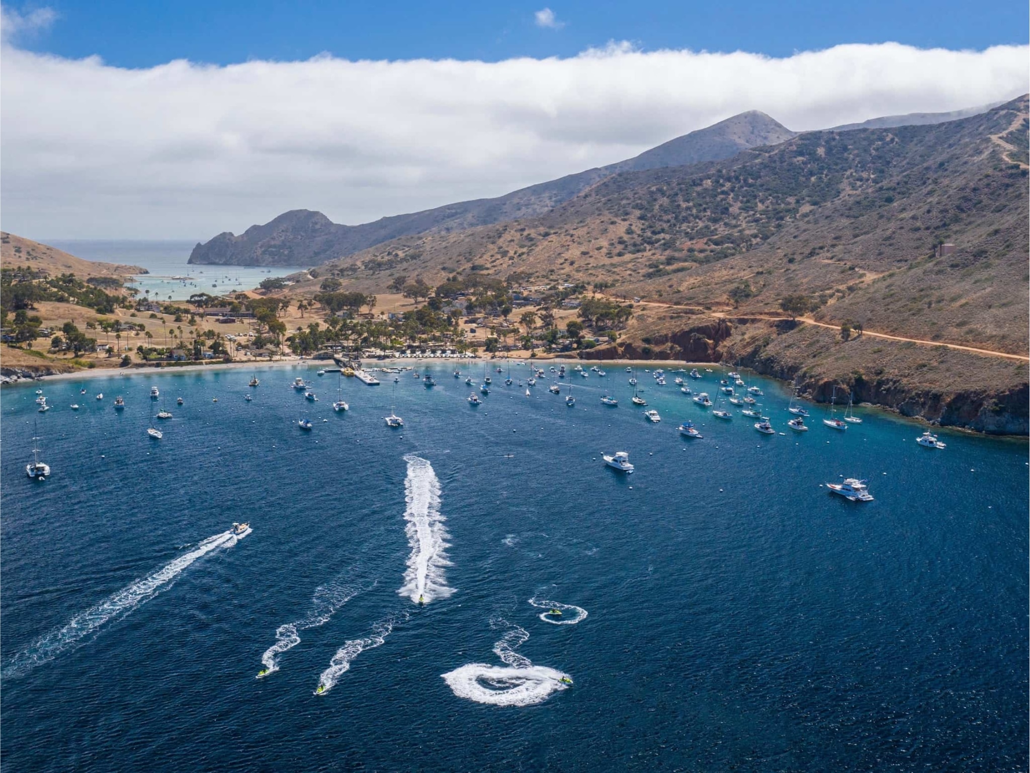 Discovering Catalina Island's Natural Beauty and Thrills on a Sea-Doo Adventure with Uncharted Society