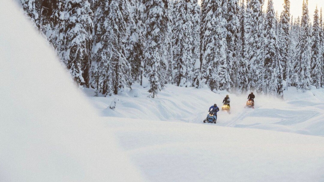 Un groupe de motoneigistes roulant dans la neige profonde en forêt.