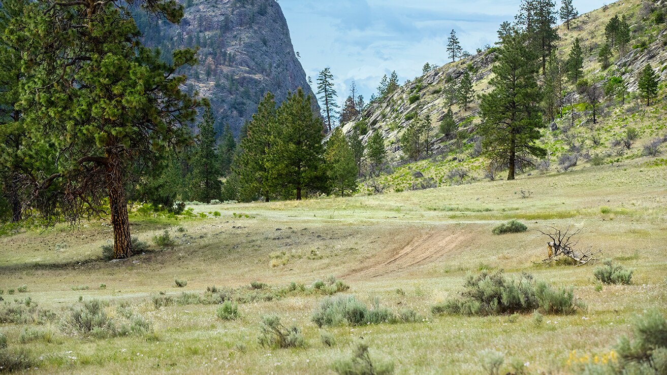 Trailer of the 2023 new Can-Am Off-Road lineup