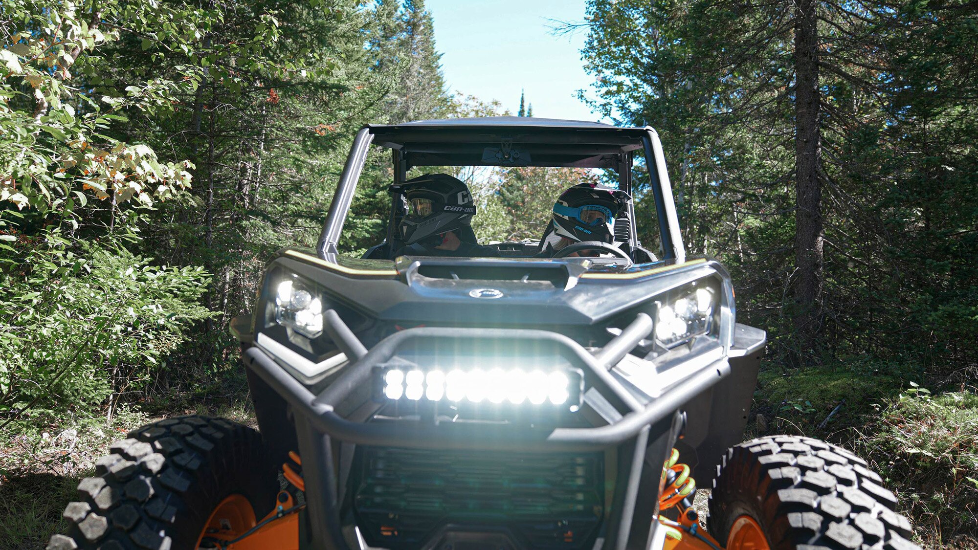 gros plan d'un can-am dans la forêt