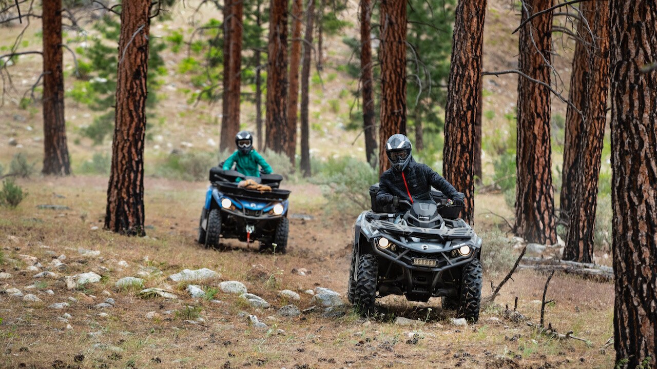 ATV ride in the forest