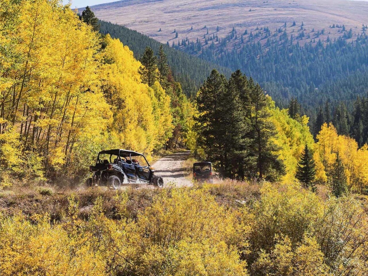 Randonnée en forêt en VTT/UTV à Crandon, WI