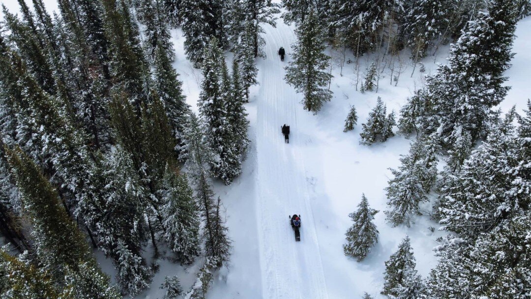 The 2023 Ski-Doo snowmobile lineup trailer