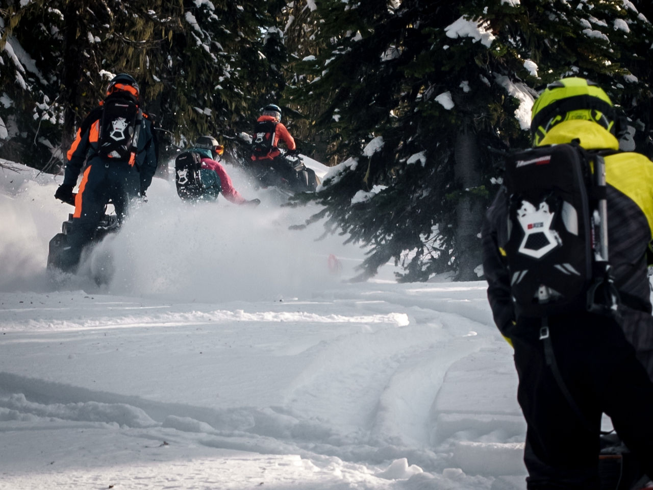 3 jours et nuits d'équitation en haute montagne à Sicamous, CB