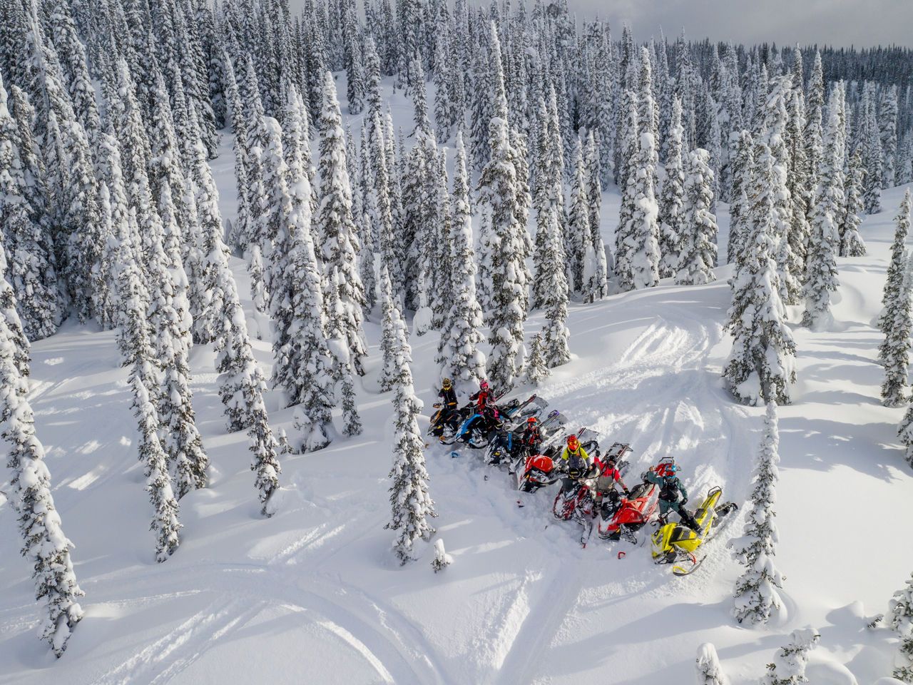 Up your skills on this women-only Ski-Doo riding clinic, Sicamous, BC