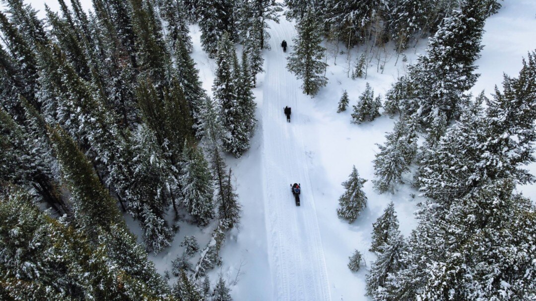 The 2023 Ski-Doo snowmobile lineup trailer