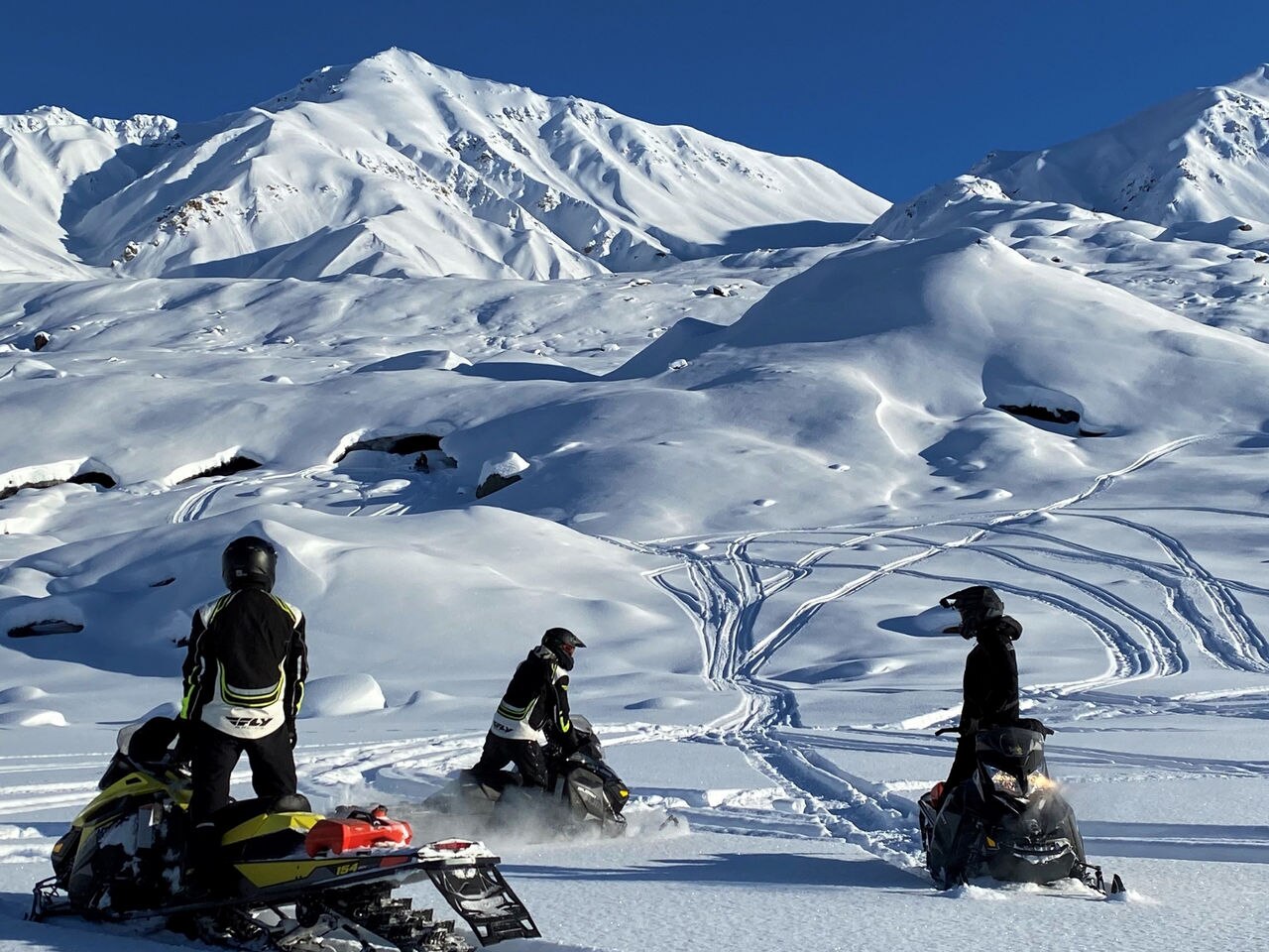 Epic Ski-Doo and puppy adventure in Talkeetna, AK