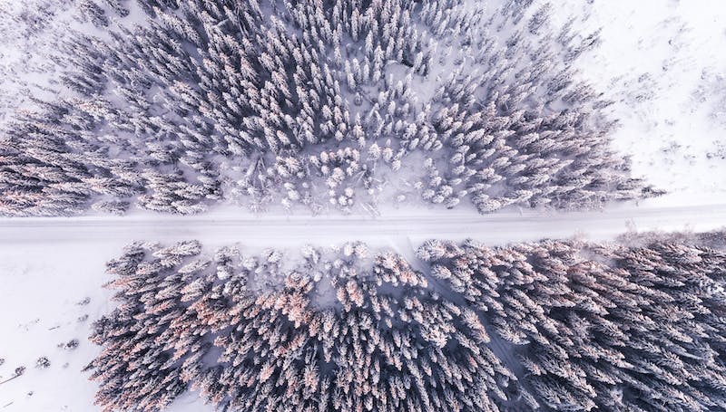 paysage européen de la neige pour les motoneiges électriques