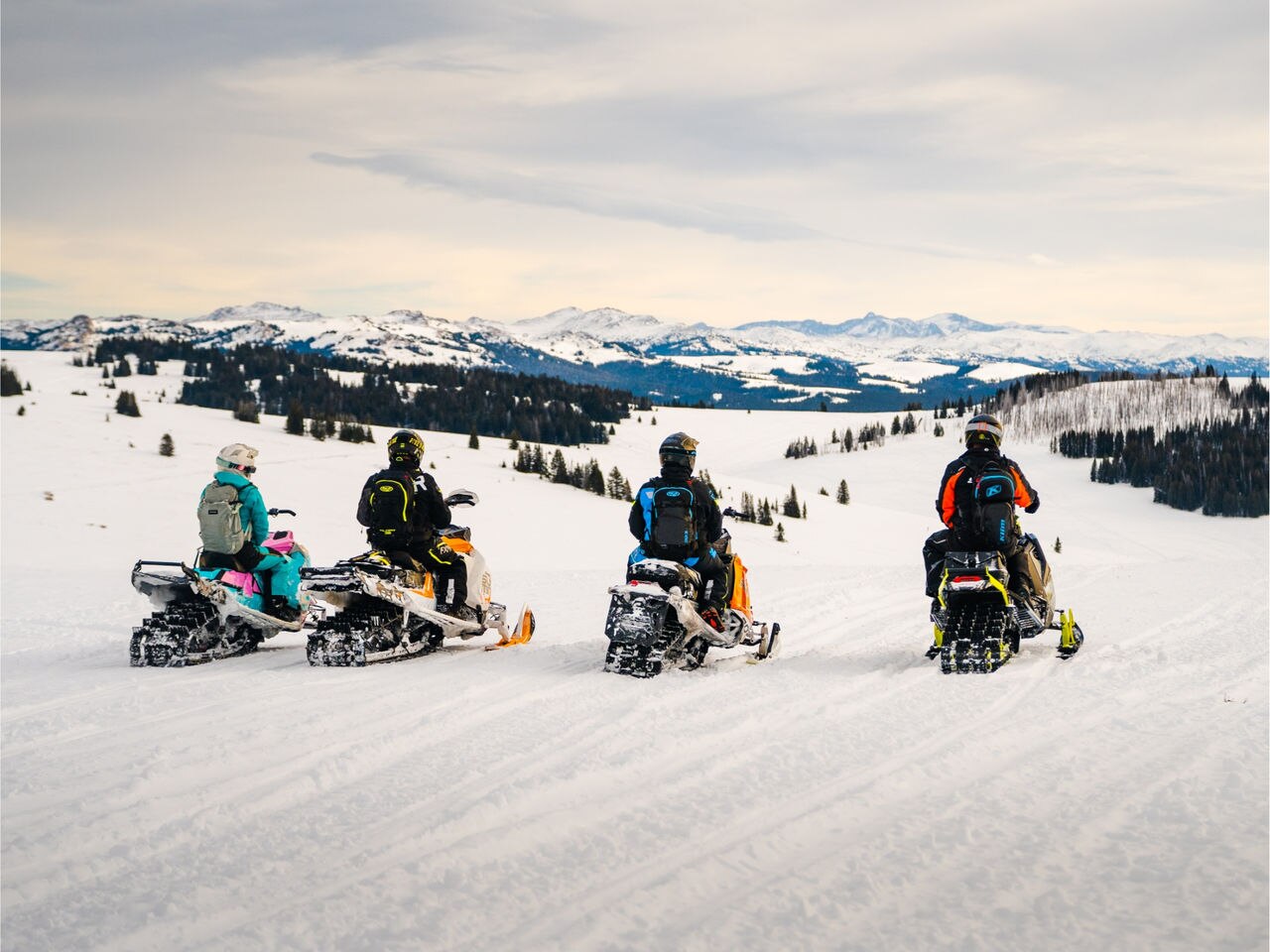 Have a blast on this full-day guided mountain Ski-Doo tour in Sheridan, WY