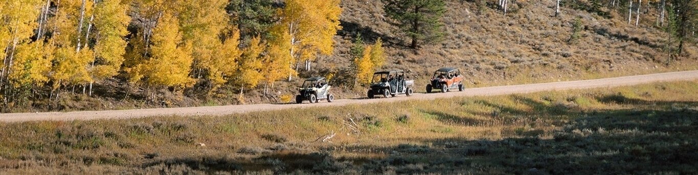 Can-Am vehicles riding a forest trail