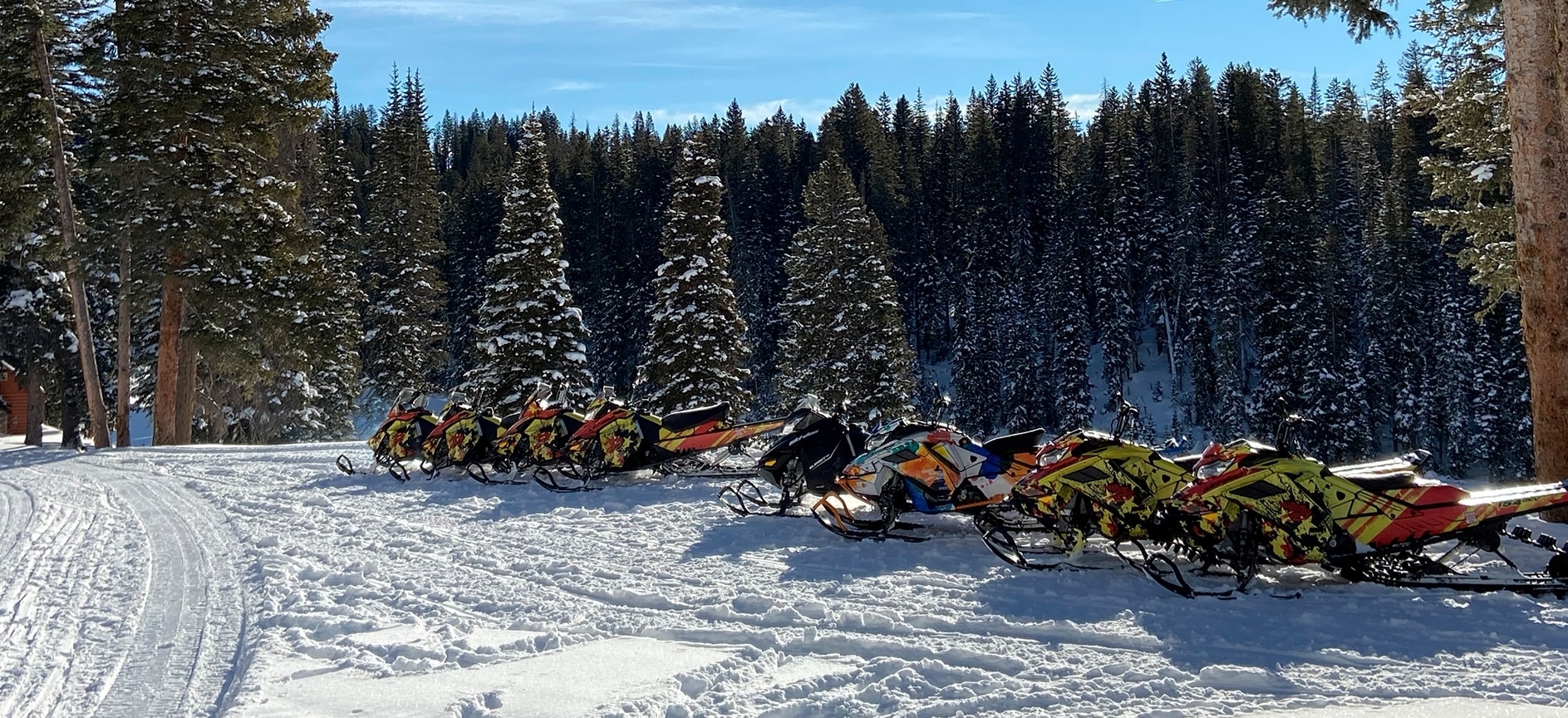 Ski-Doo sleds lined up in the snow