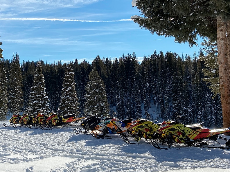 Enter the forest of Grand Mesa, CO