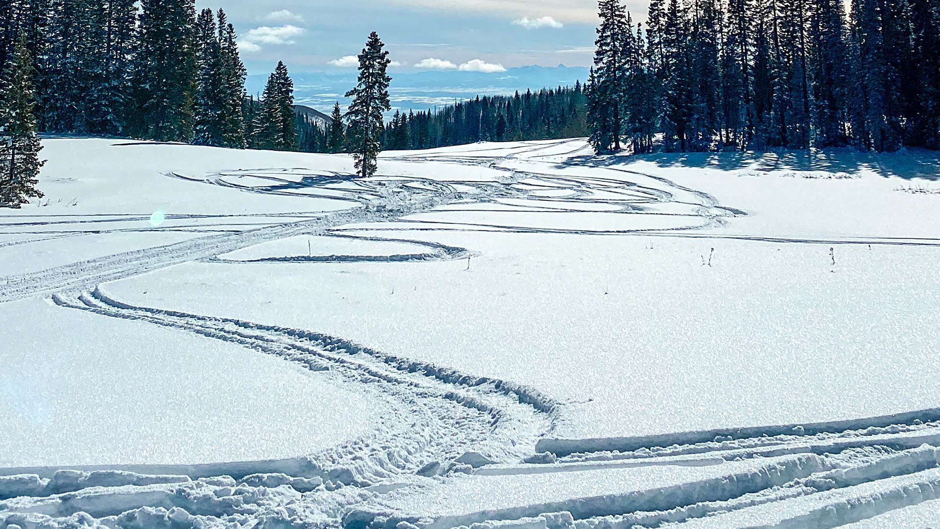 Ski-Doo snowmobile tracks in the snow