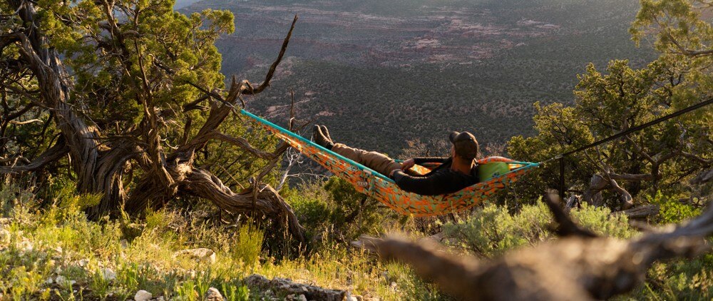 Man in Hammock