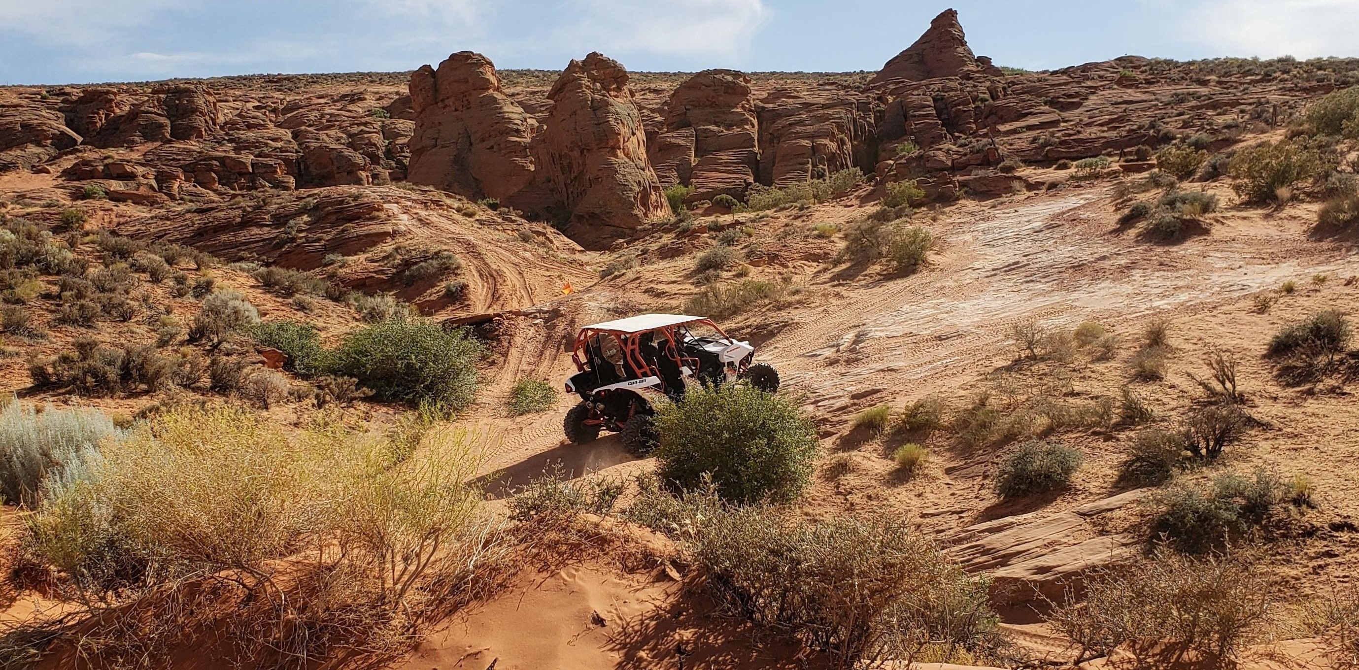 Maverick in desert with rocks