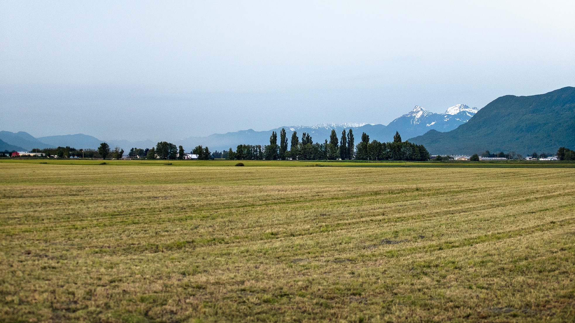 Fields and mountains landscape