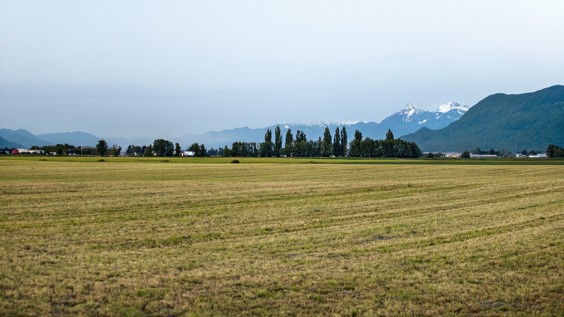 Paysage de champs et de montagnes