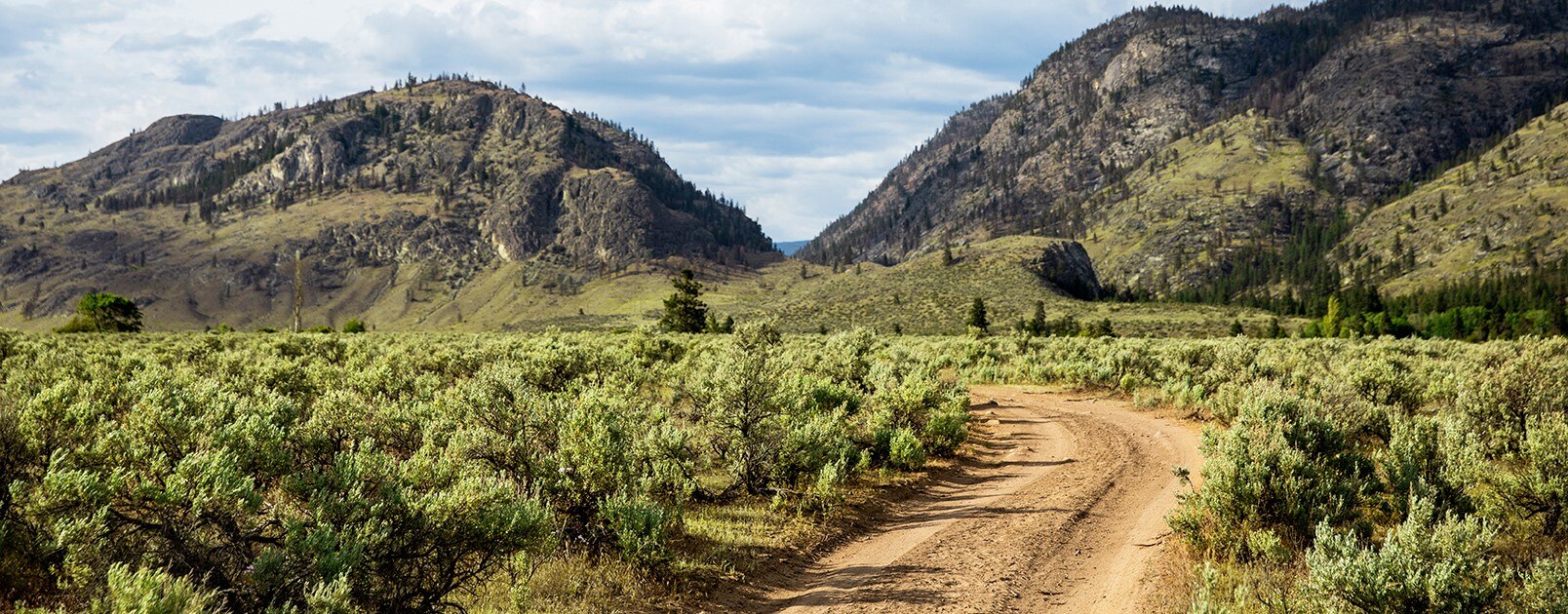 Beautiful backcountry landscape