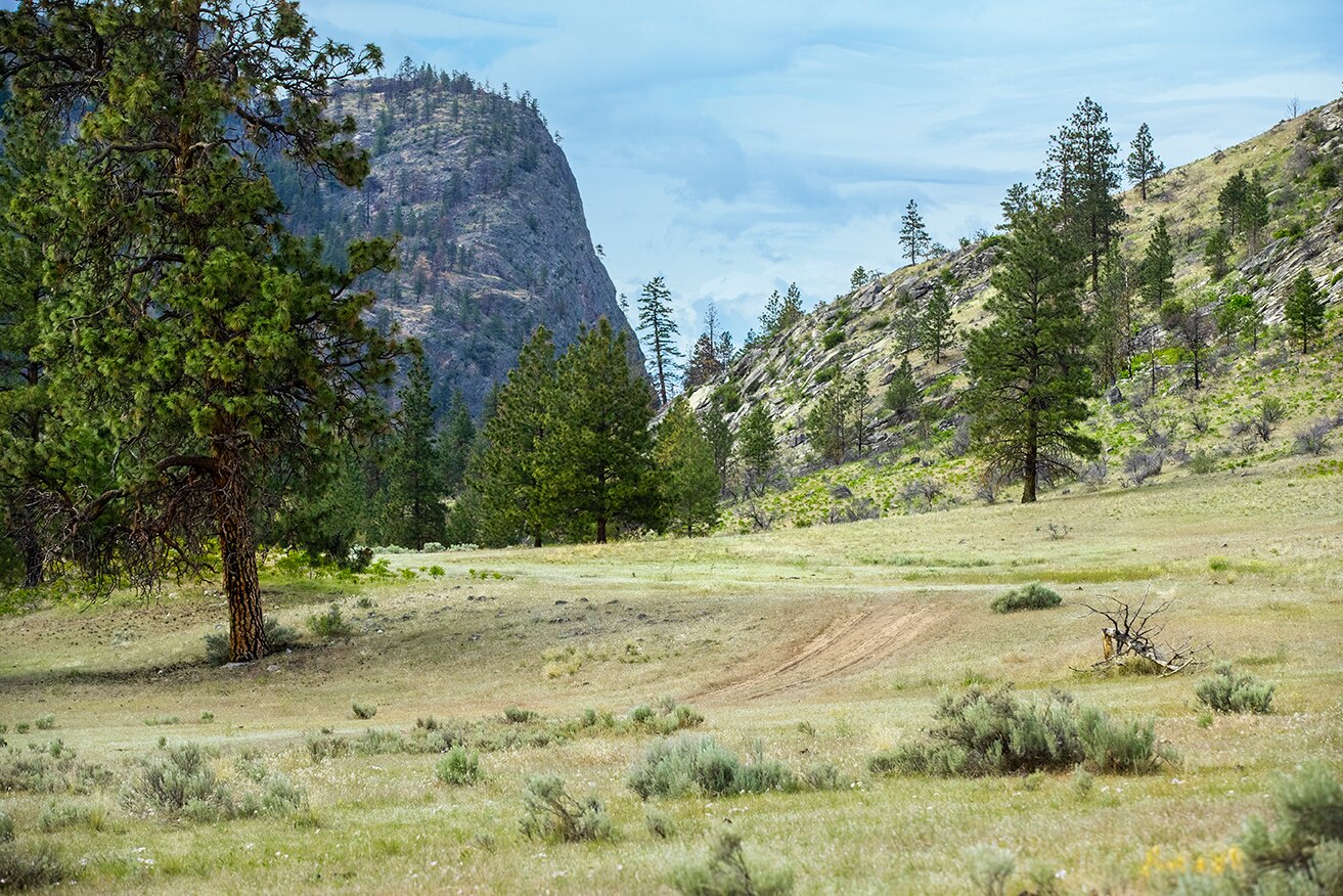Take the whole family riding in Alpine, WY
