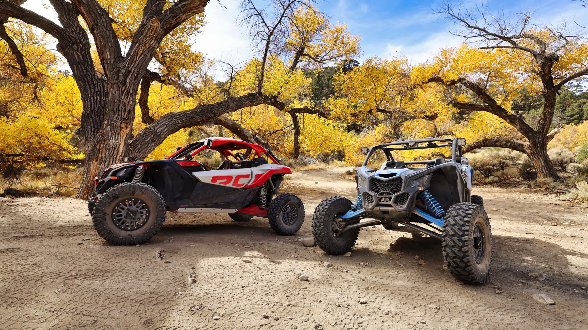 Two SSV parked in front of a tree with yellow leafs