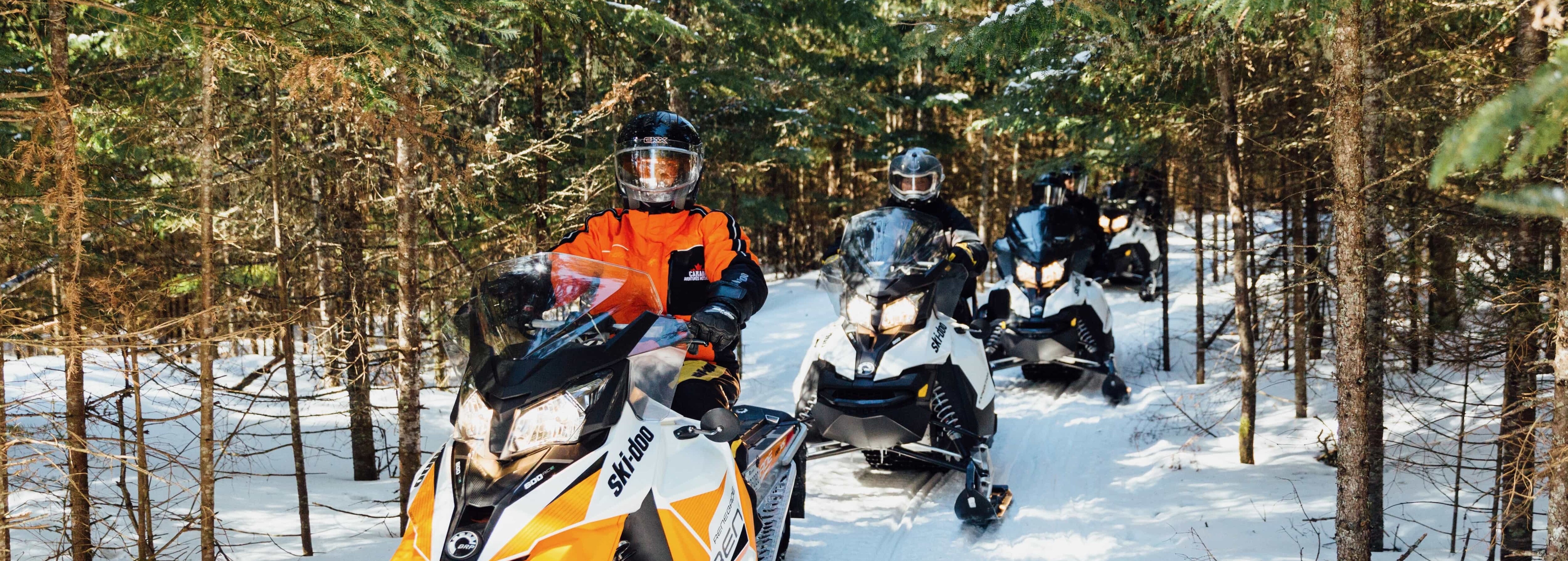 A group of people riding Ski-Doo in a trail