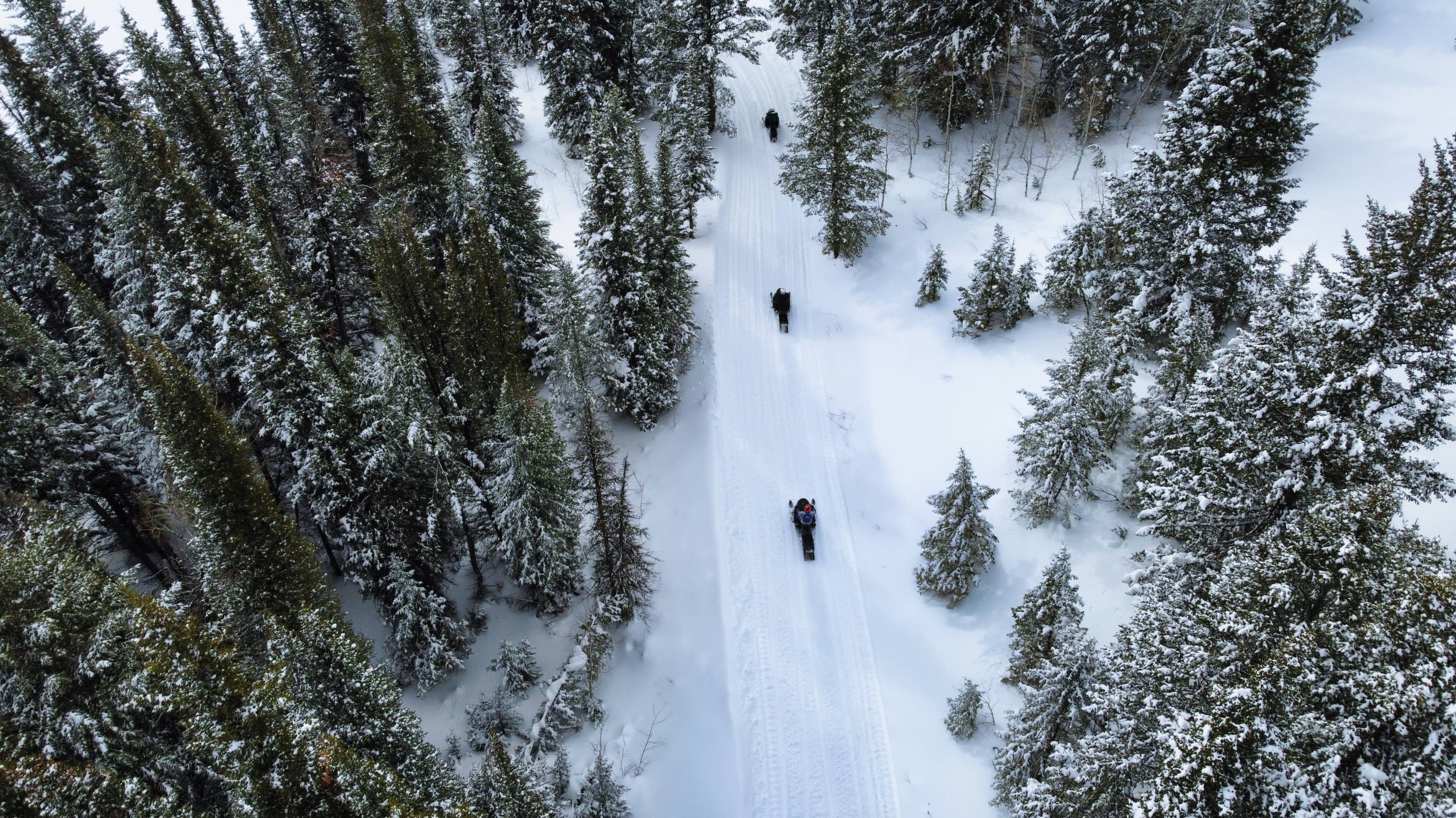 Une vue aérienne de trois motoneigistes roulant dans la forêt