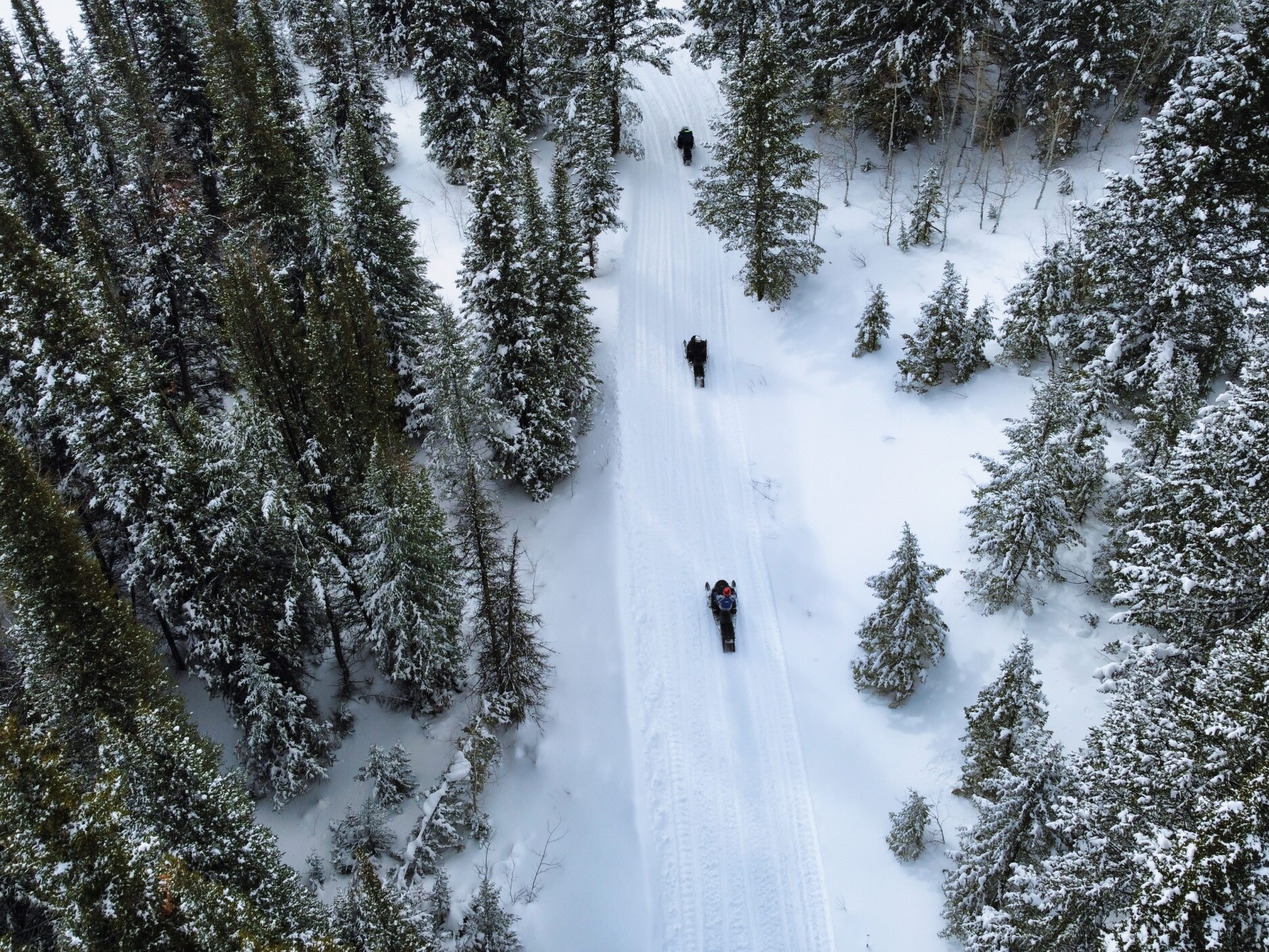 Venez profiter de la neige à Eden, dans l’Utah
