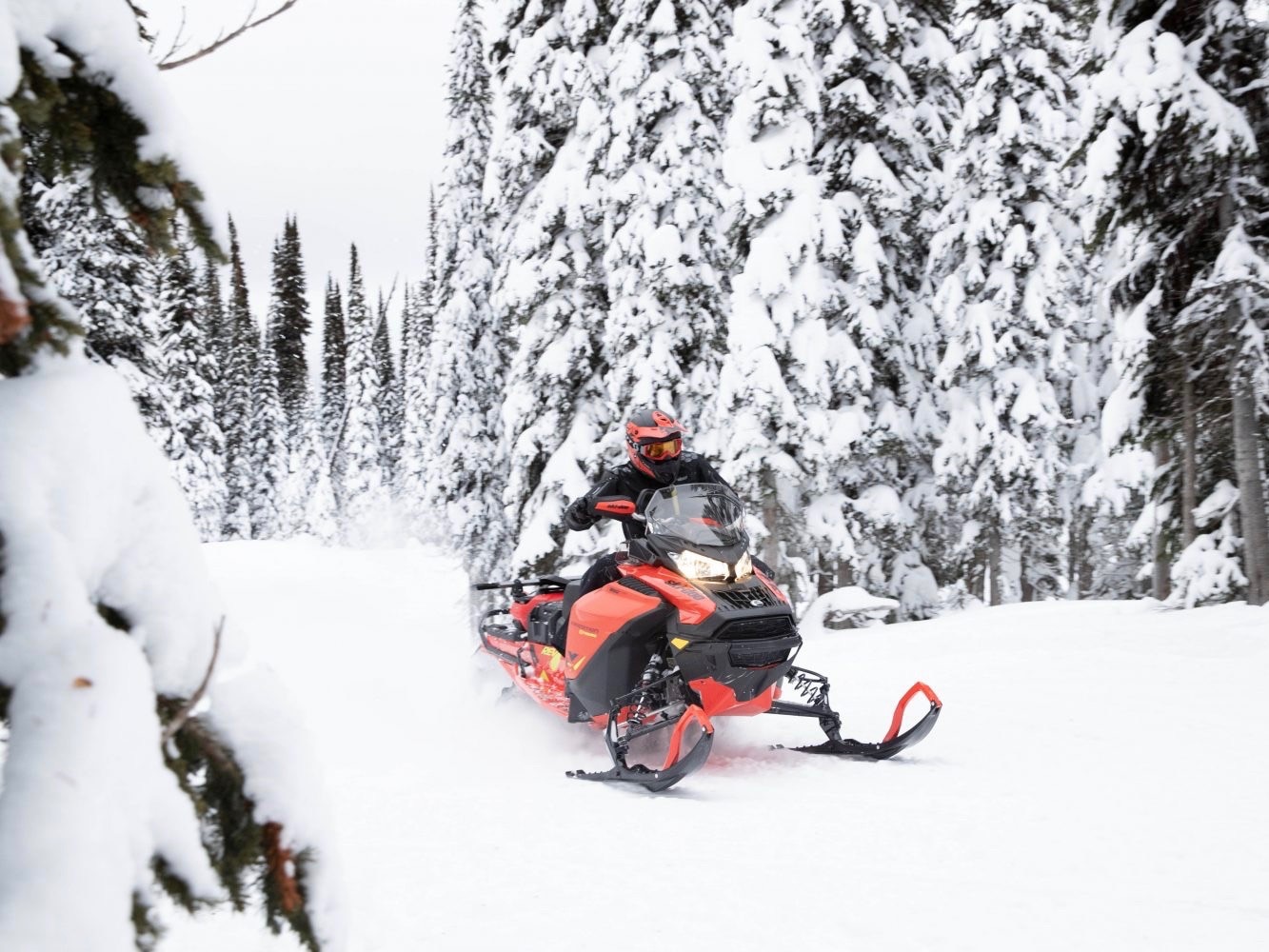Ski-Doo fun for all on the trails of Charlevoix, QC
