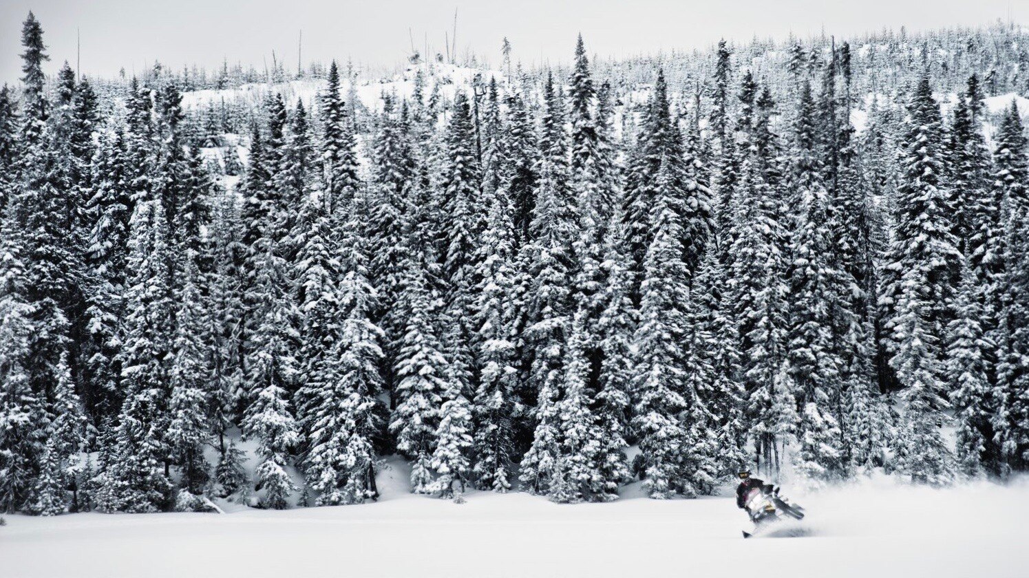 A snowmobiler riding in deep snow in forest