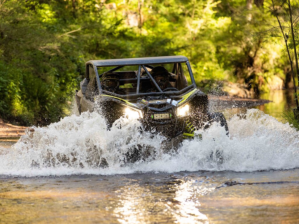 Lead your buggy into the wild in Howes Valley, NSW, Australia
