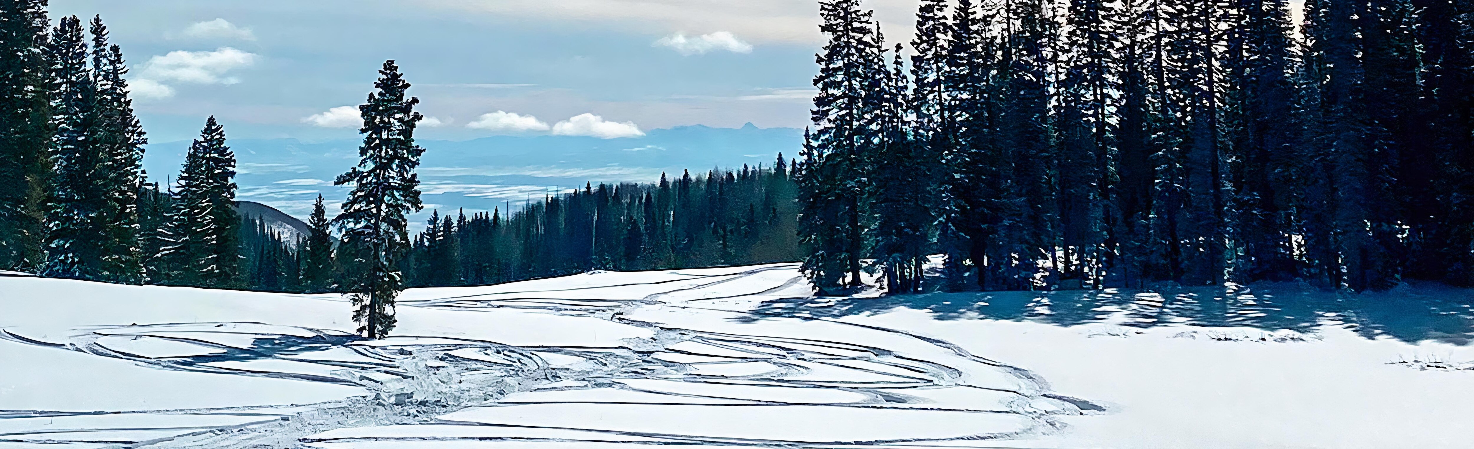Ski-Doo snowmobile tracks in the snow