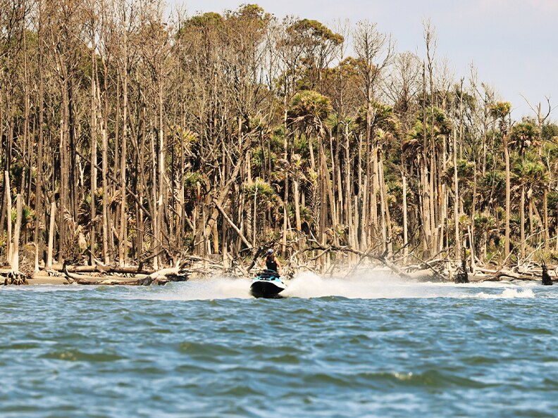 Go on safari in Isle of Palms, SC