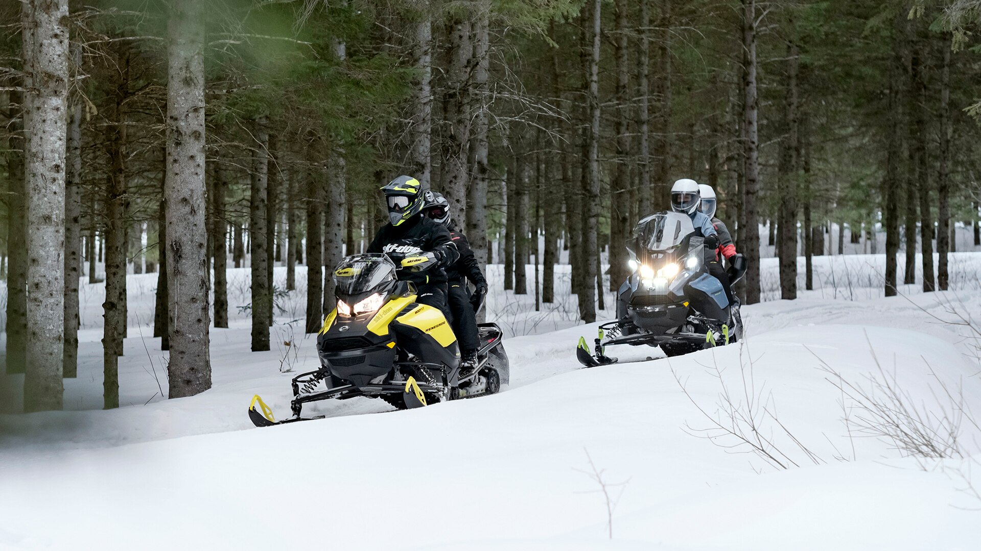 Crew of people riding on snowmobiles