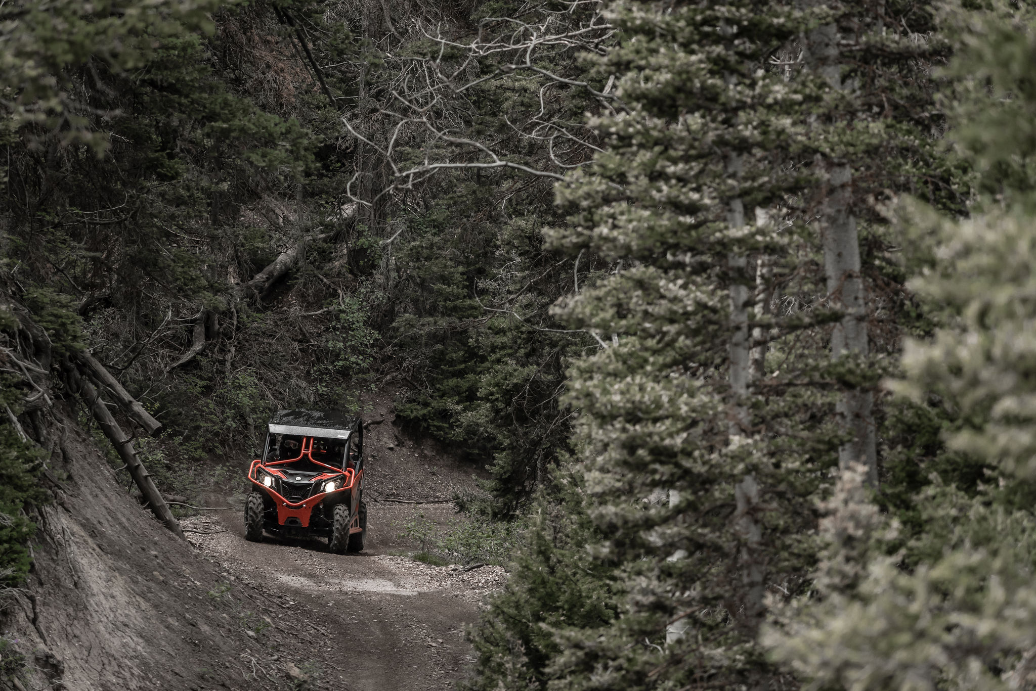 A Can-Am driving on a trail through the forest