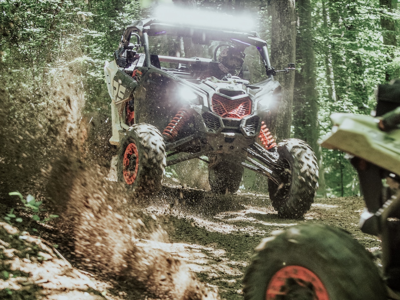 Explore the waterfalls on this guided off-road tour around Panorama, BC
