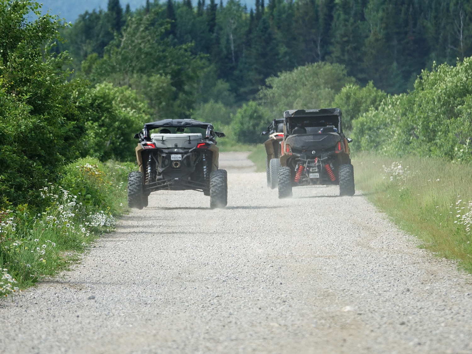 The beauty of the Quebec countryside by ATV/SSV in La Malbaie, QC