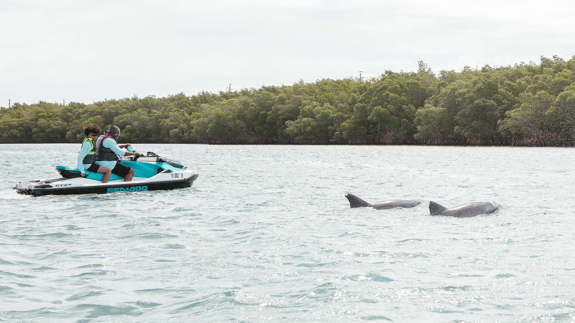 dolphin viewing on a Sea-Doo