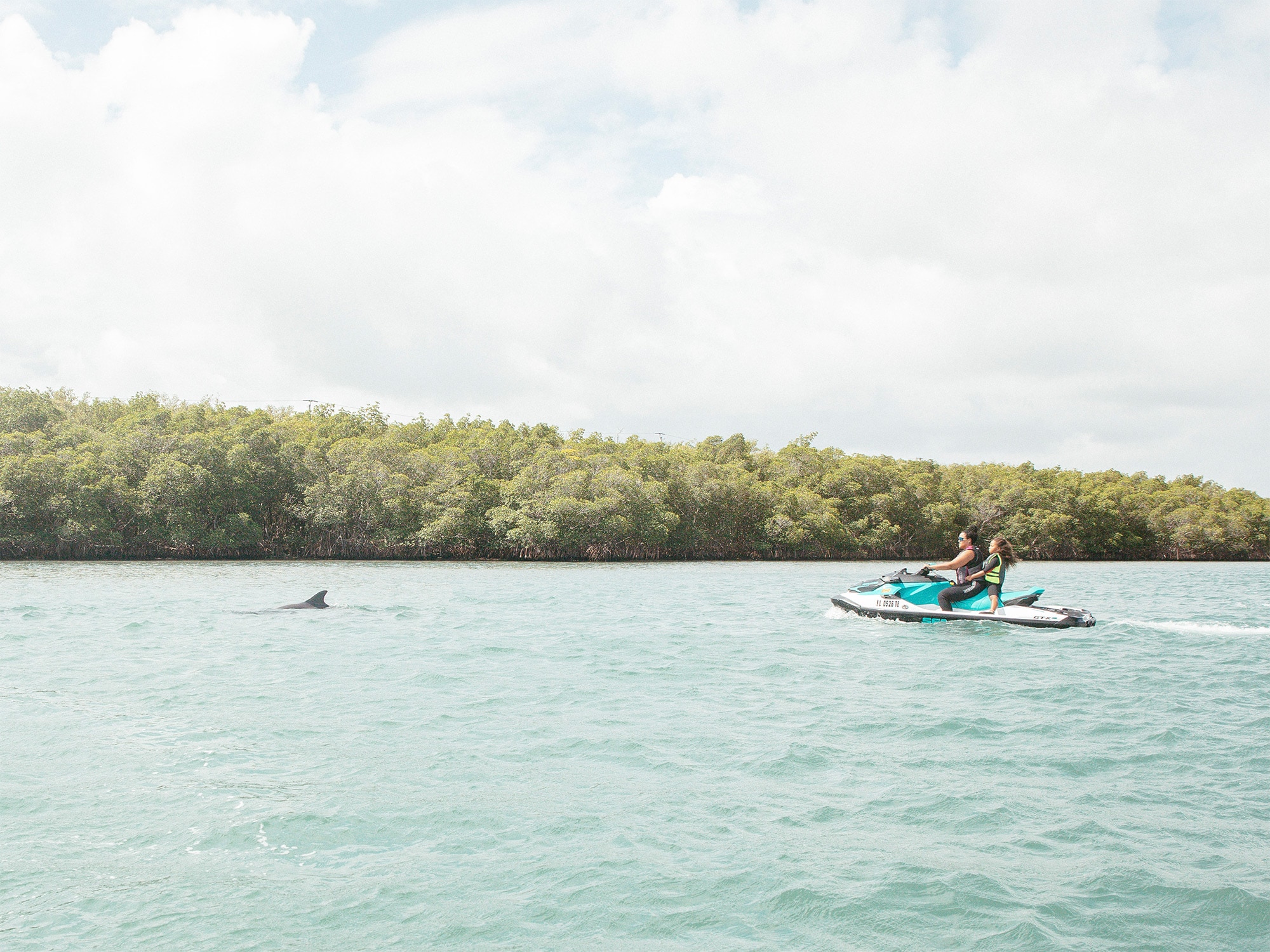Le plaisir de naviguer avec les dauphins à Fort Pierce, FL
